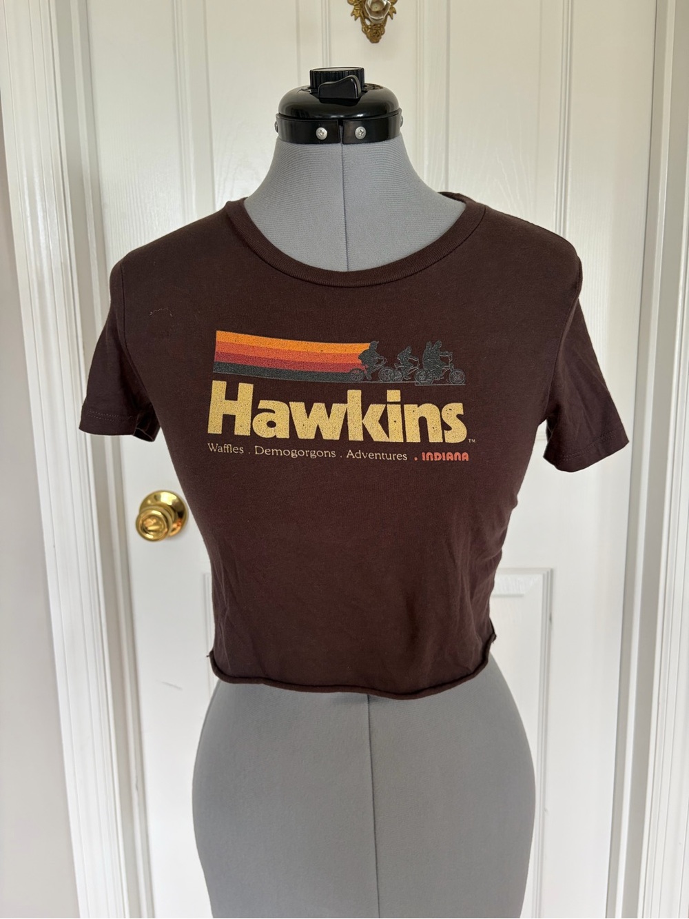 Stranger Things Hawkins Graphic Crop Tee - Brown XS